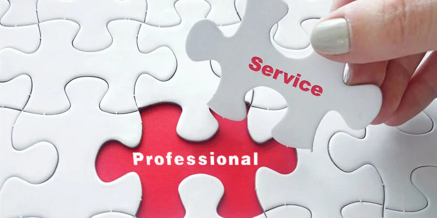 Professional service